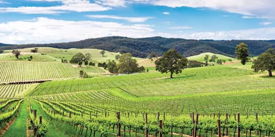 adelaide-barossa-valley-esma-banner.jpg