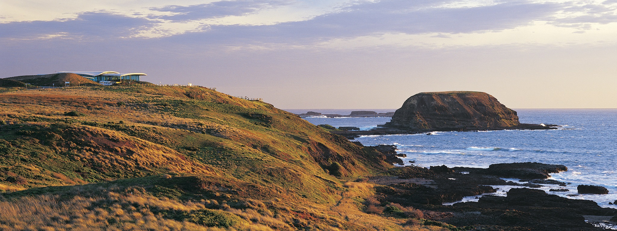 Phillip Island Tours & Travel Guide | AAT Kings US